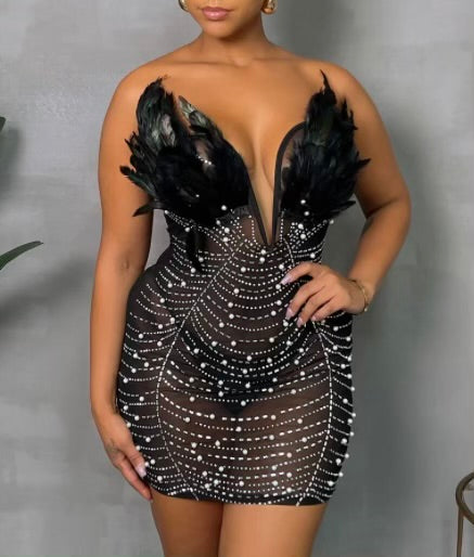 Bustier Feather Mesh Dress